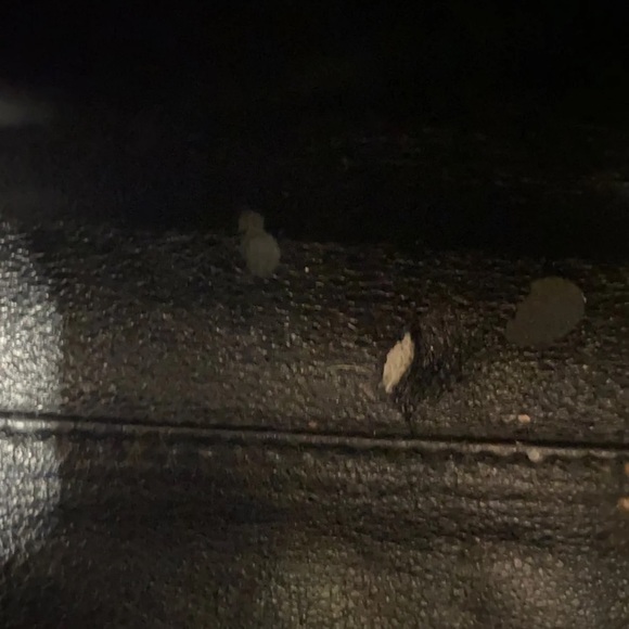 🧖‍♀️ AT THE SPA 🧖‍♀️ Celine Micro Luggage Tote - Picture 6 of 8